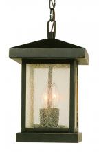 Trans Globe 45643 WB - 2LT HANGING-OUTD-SEEDED GLASS